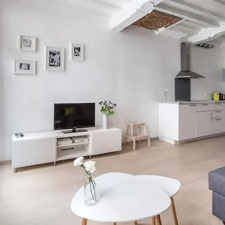 Old Town - Superb In Rue Esquermoise ! Apartment Lille